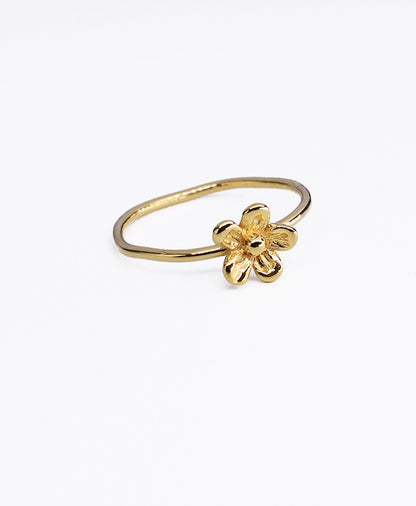 Anello Giardino