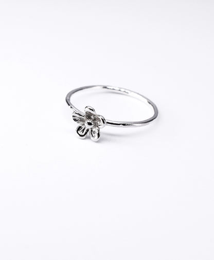 Anello Giardino